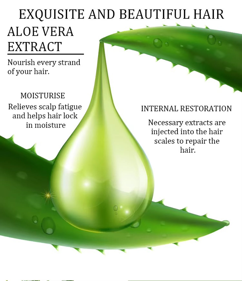 KAQIER Aloe Vera Hair Care Set
